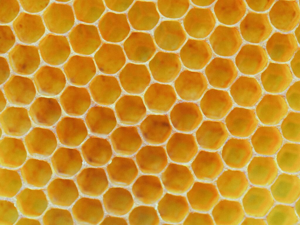 Organic beeswax